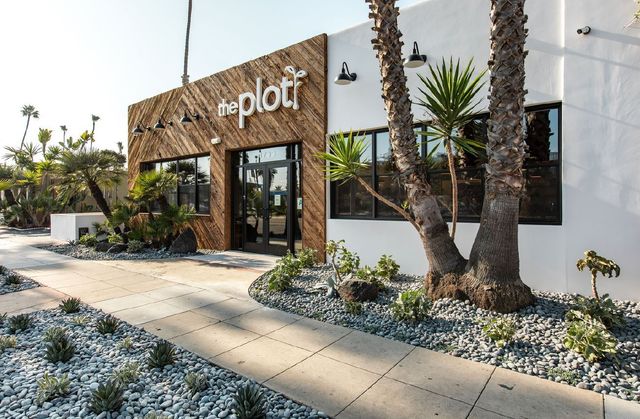 Featured photo from The Plot as a Venue