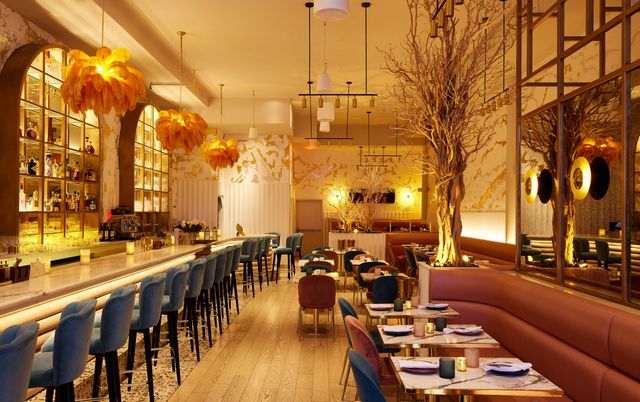 Featured photo from Reyna