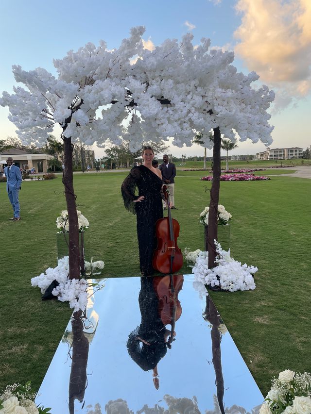 Featured photo from String Quartet