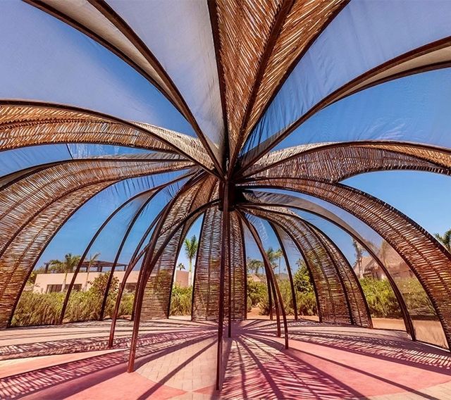 Featured photo from CONSERVATORY