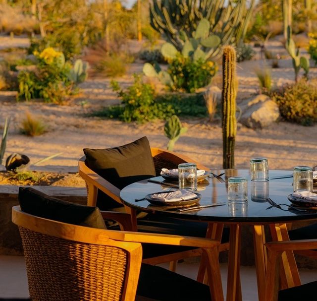 Featured photo from BOTÁNICA RESTAURANT