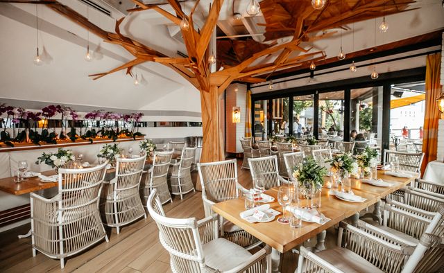 Featured photo from Modern Garden