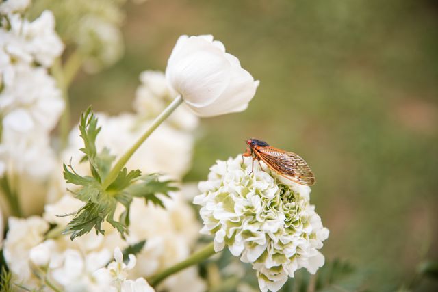 Featured photo from Summer Love