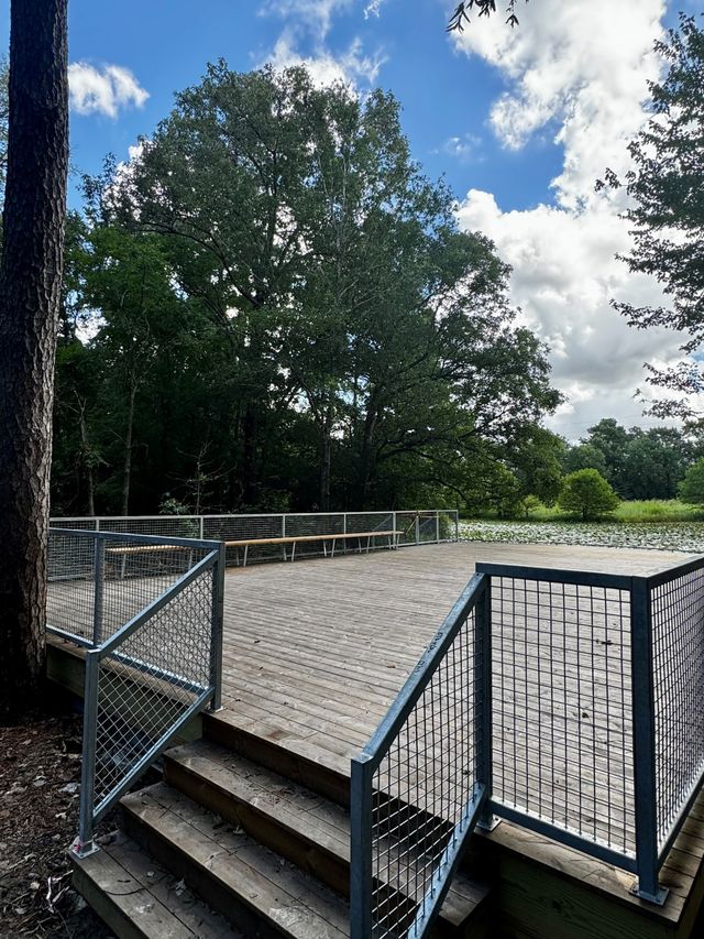 Featured photo from Meadow Deck