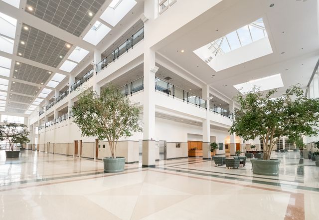 Featured photo from The Icon