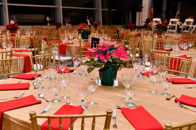 Featured photo from Take In the Giving Spirit of the Alliance Care Now Holiday Gala at the Embassy of Ethiopia