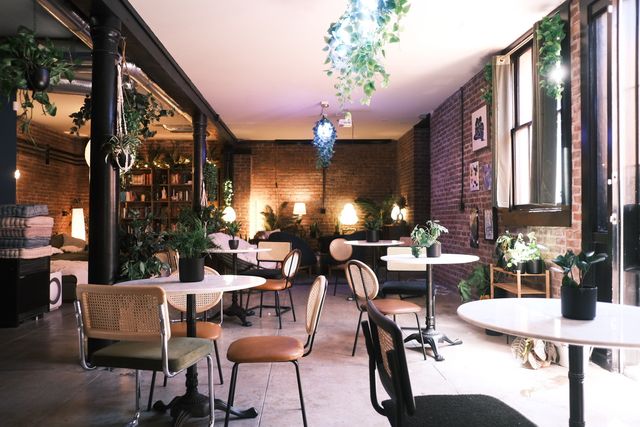 Featured photo from Solarpunk Cafe & Astrology Lounge