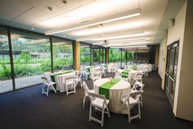 Featured photo from Hummingbird