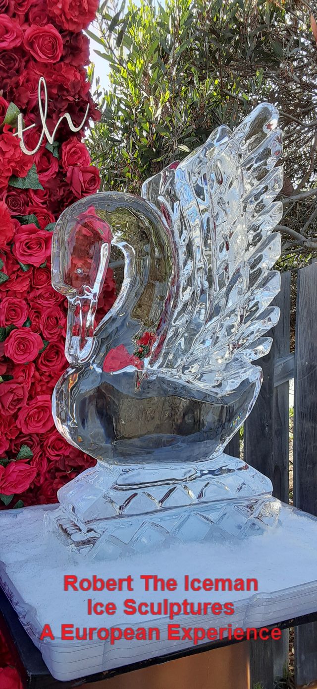 Featured photo from A European Wedding