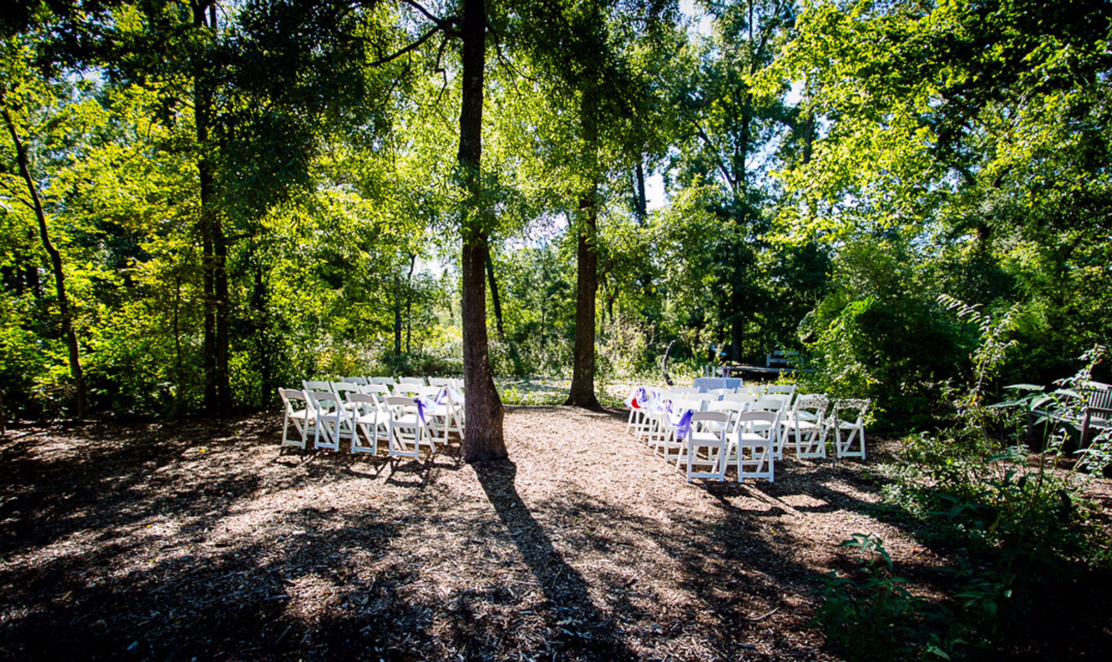Lily Pond, an event space at Houston Arboretum & Nature Center