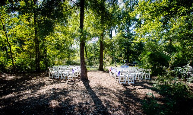 Featured photo from Lily Pond