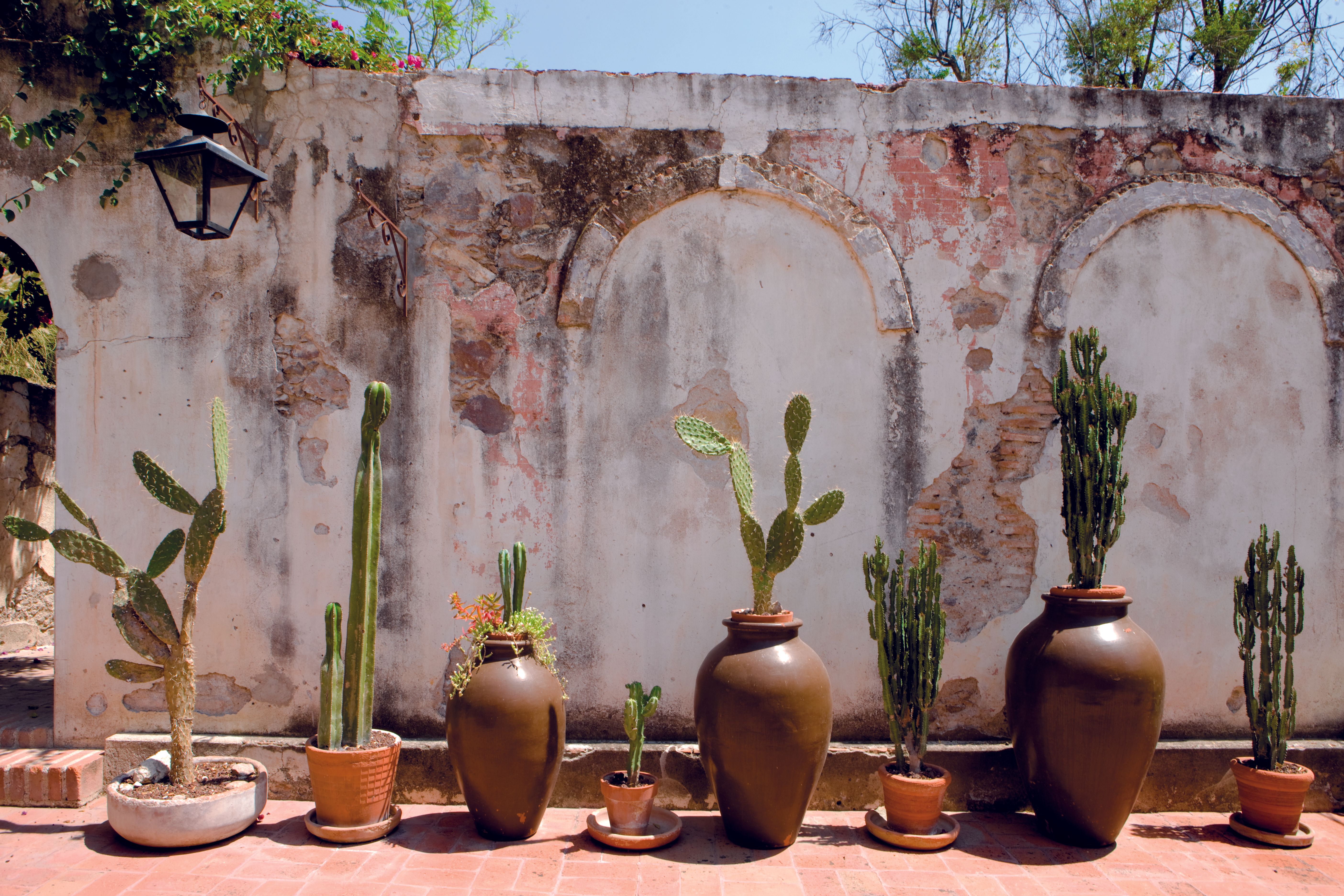 Cactus Terrace | Casa de Sierra Nevada a Belmond Hotel | PartySlate