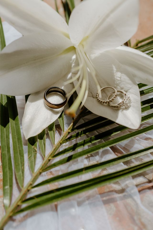 Featured photo from Rozel & Joe