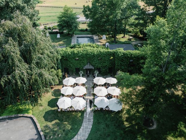 Featured photo from The Ivy Wall