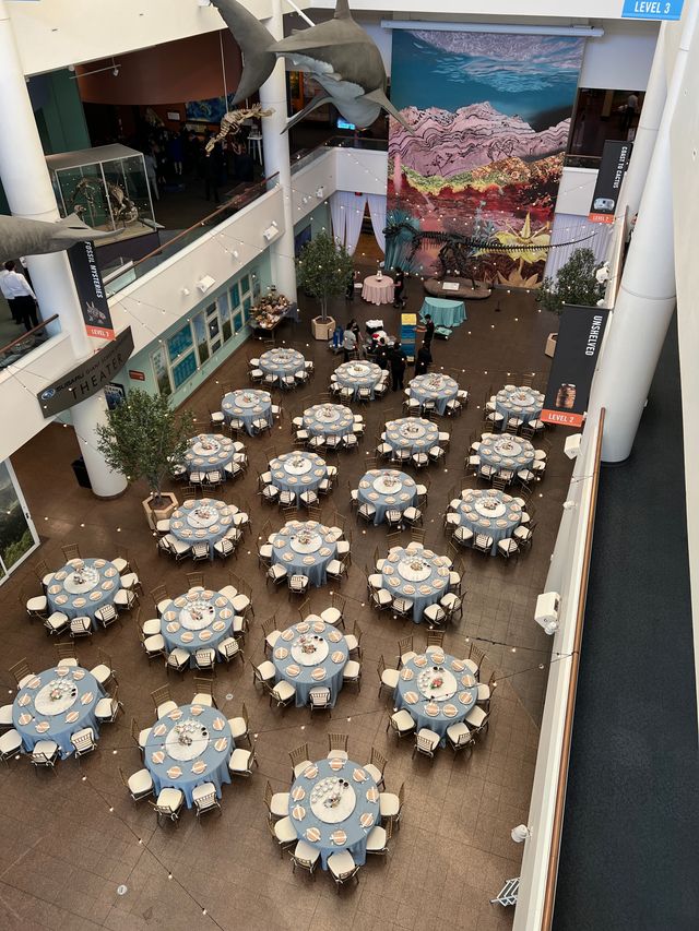 Featured photo from Rebecca & Maxwell