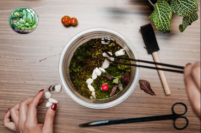 Featured photo from Terrarium Workshop