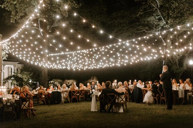 Featured photo from Willow Oak Canopy