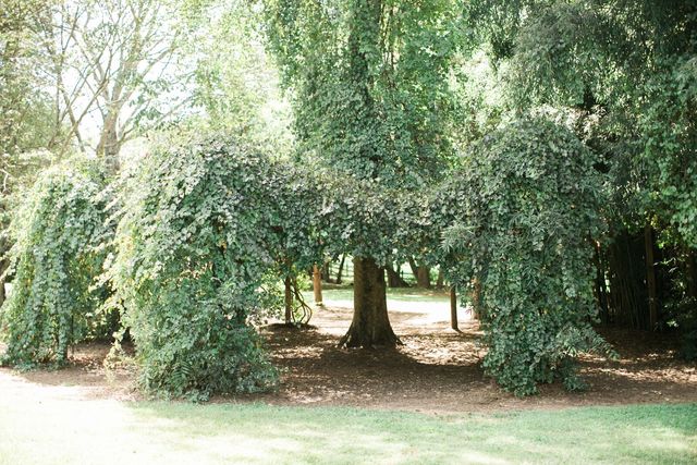 Featured photo from Meditation Garden