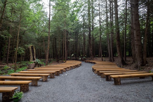 Featured photo from The Enchanted Forest