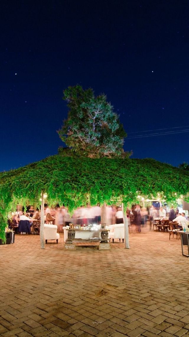 Featured photo from Pergola