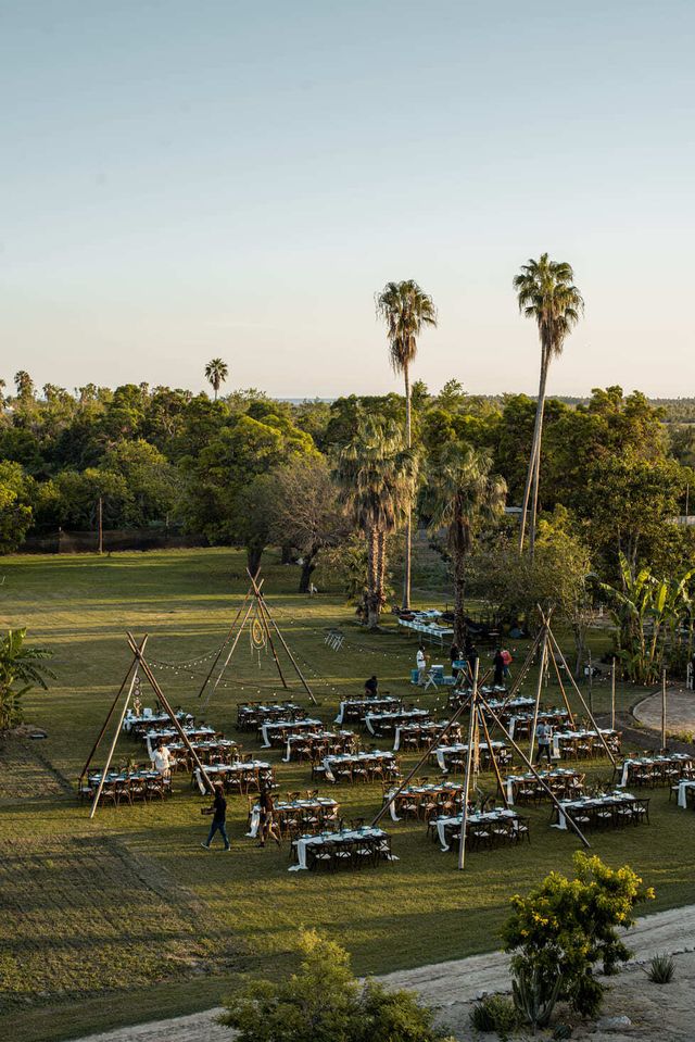 Featured photo from Tamarindo’s Garden