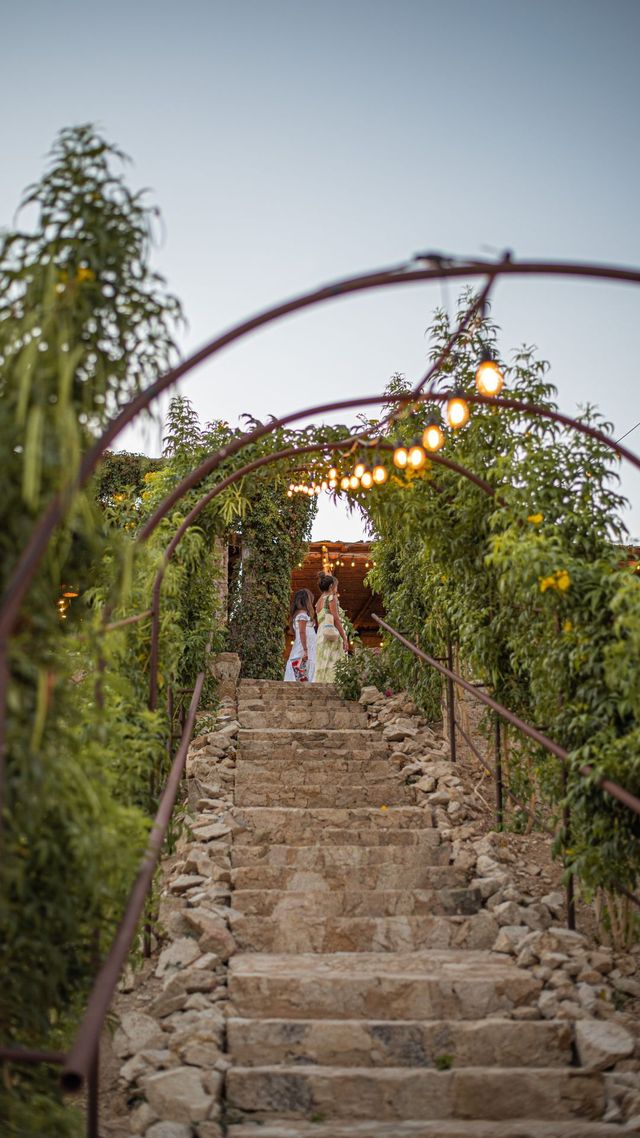 Featured photo from Terraza