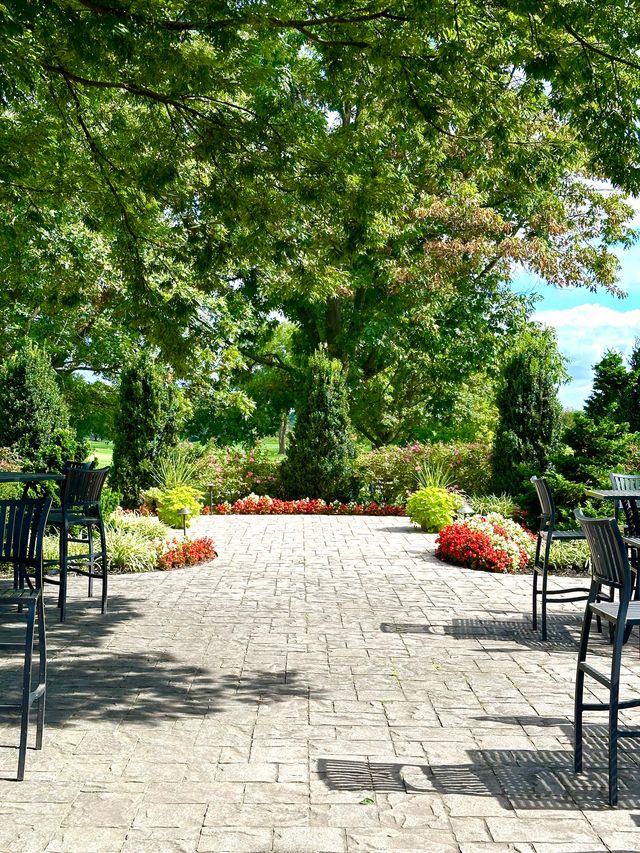 Featured photo from The Terrace