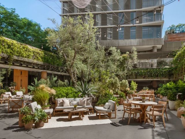 Featured photo from Juniper Garden