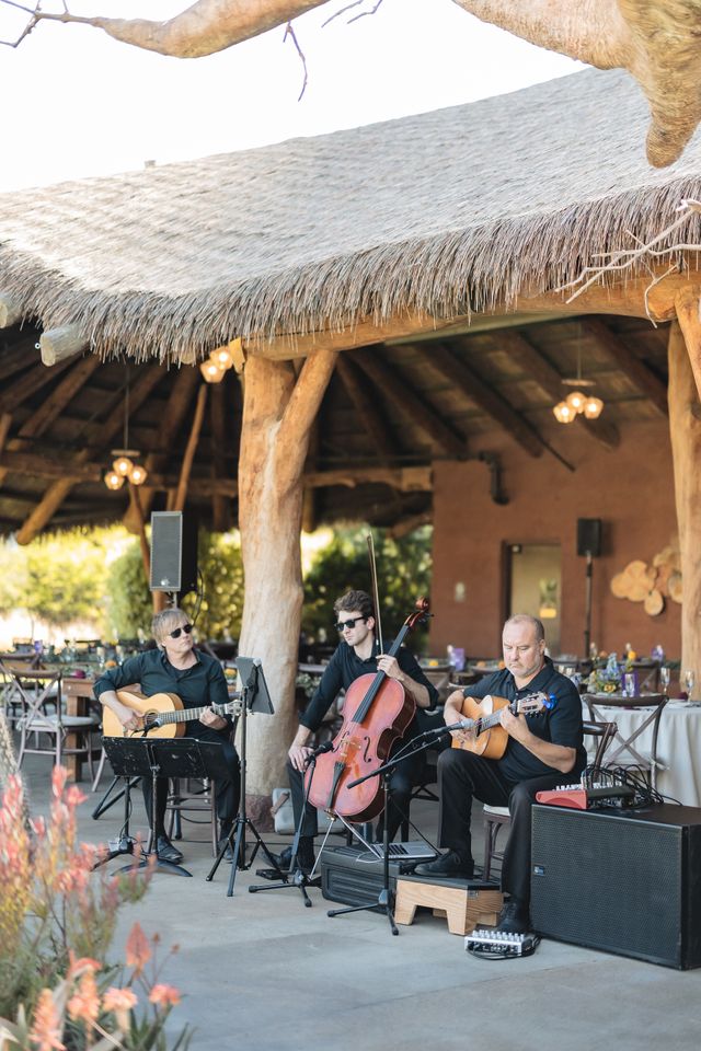 Featured photo from Safari Park Wedding