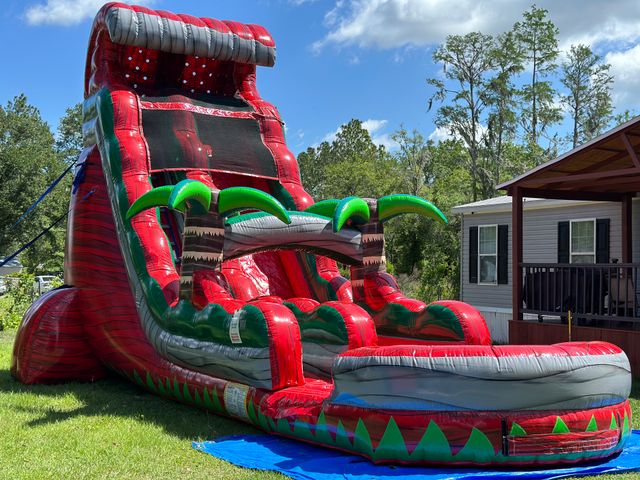 Featured photo from Bounce House And Water Slides Rental