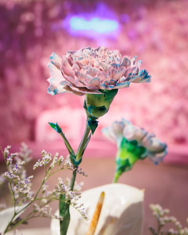 Featured photo from It Was All a Dream