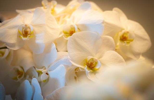 Featured photo from Fall in Love With This Picture-Perfect Beach Wedding at The Hyatt Regency Clearwater Beach Resort and Spa