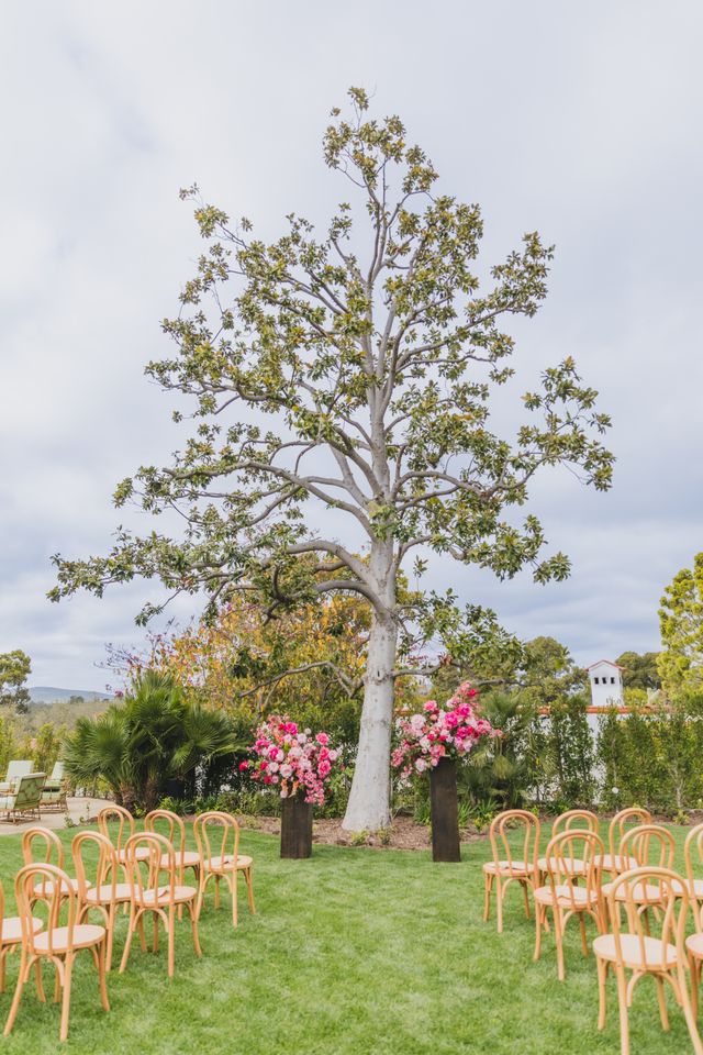 Featured photo from The Rose Garden