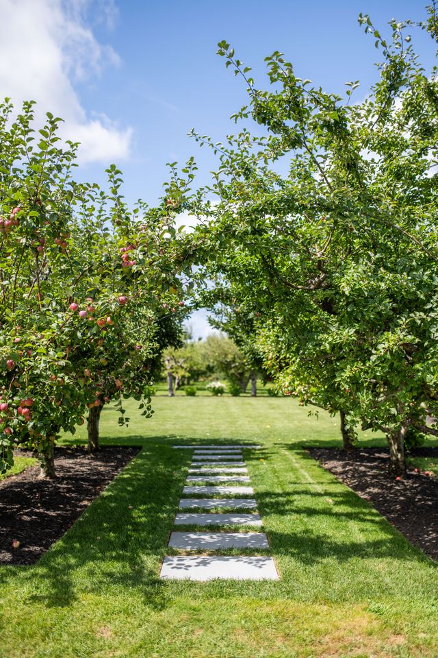 Featured photo from Orchard