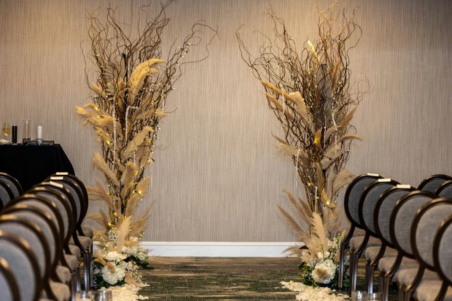 Featured photo from Oak