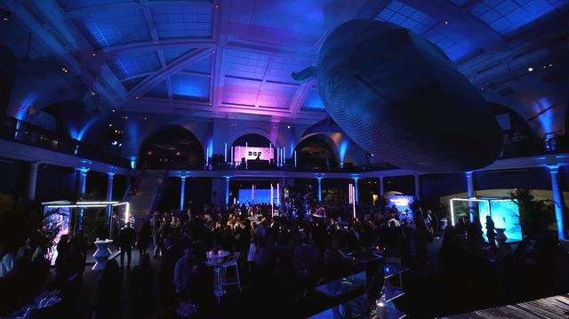 Featured photo from Experience the Magic of This Disney Event at the American Museum of Natural History