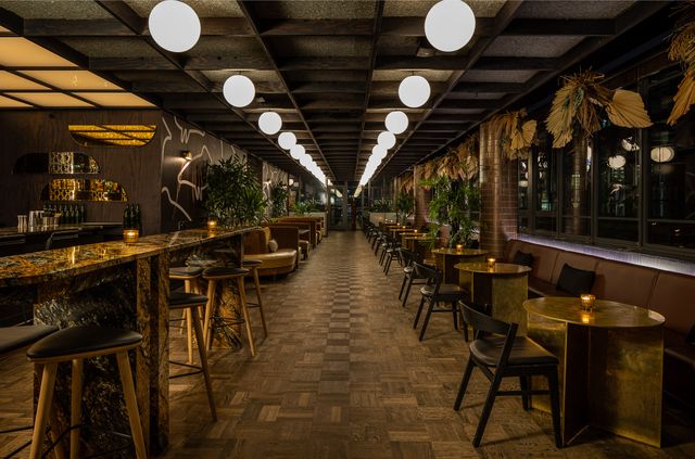 Featured photo from Selva