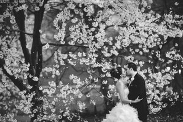 Featured photo from Timeless Loeb Boathouse Wedding