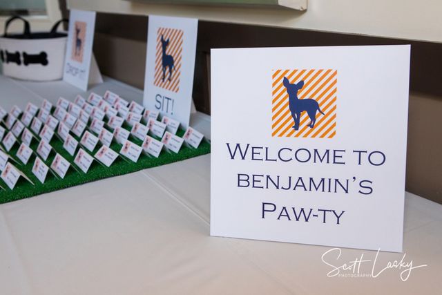 Featured photo from Puppy Dog Bar Mitzvah