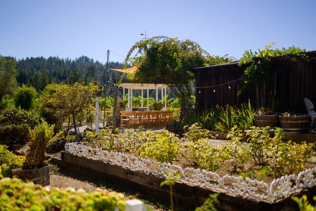 Featured photo from Gazebo & Garden