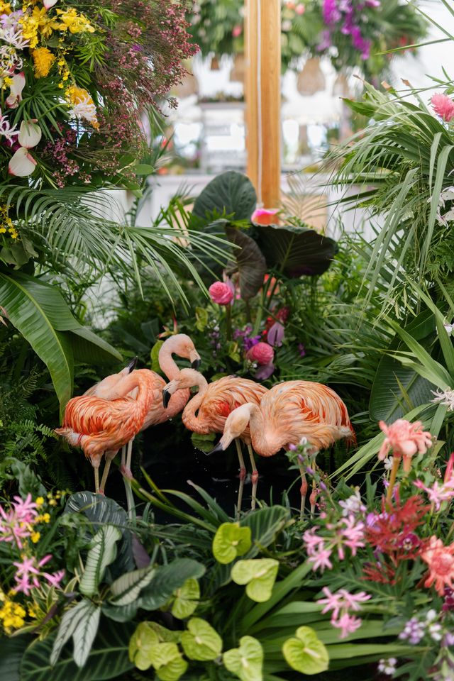 Featured photo from Longboat Key Welcome Party