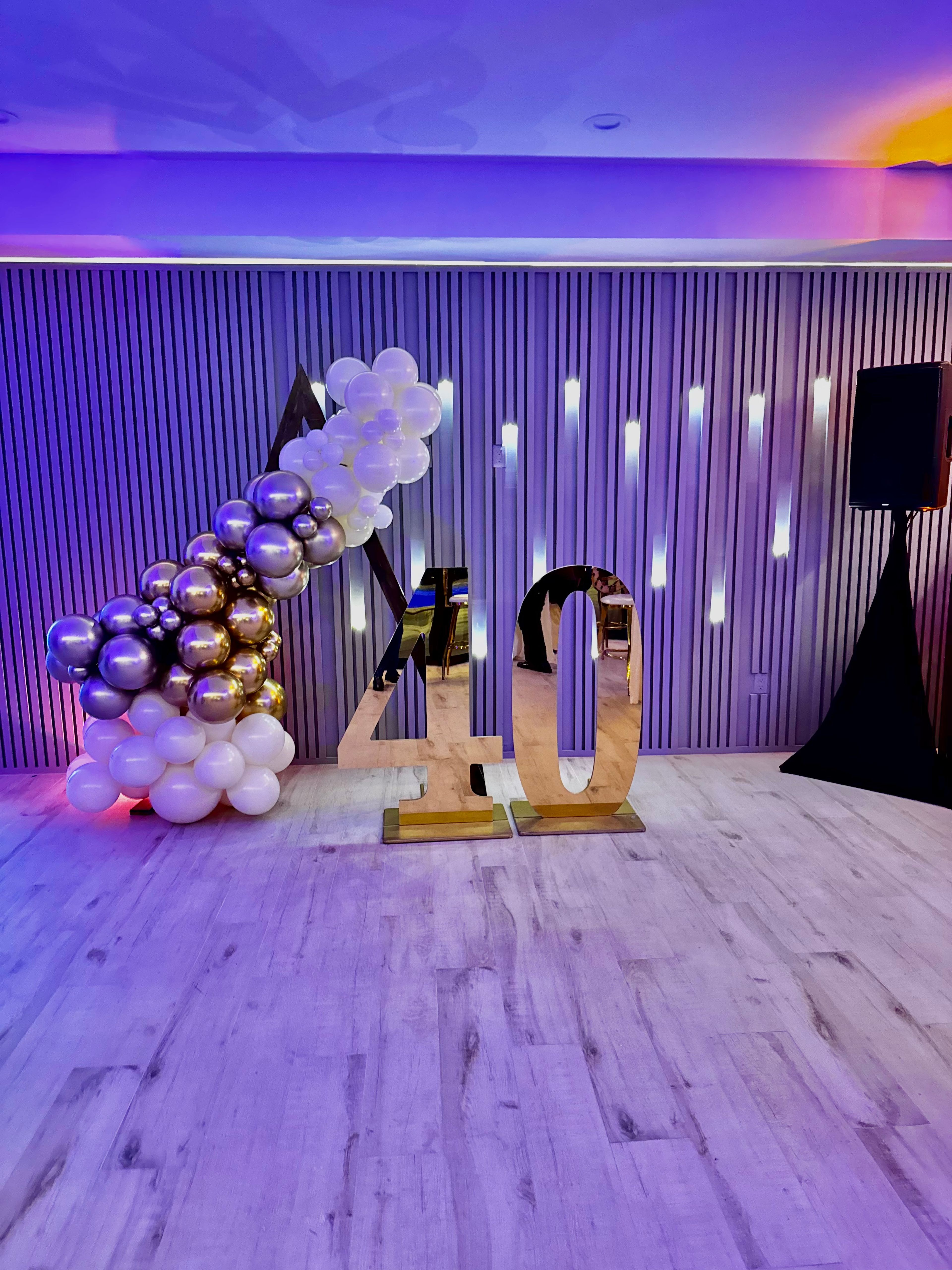 Basement Level Theater Lounge/Flex Space Experience, an event space at The Activation House