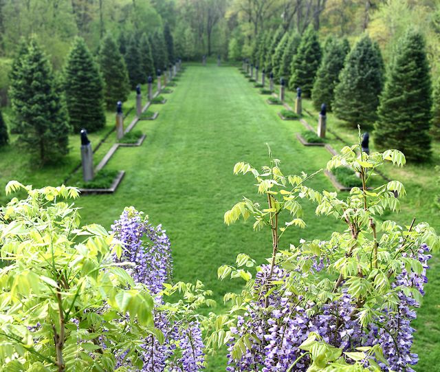 Featured photo from Fu Dog Garden