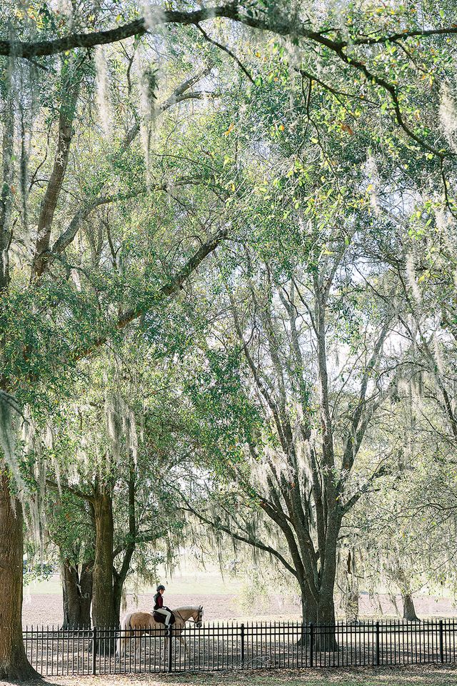 Featured photo from Oak-Canopy Garden