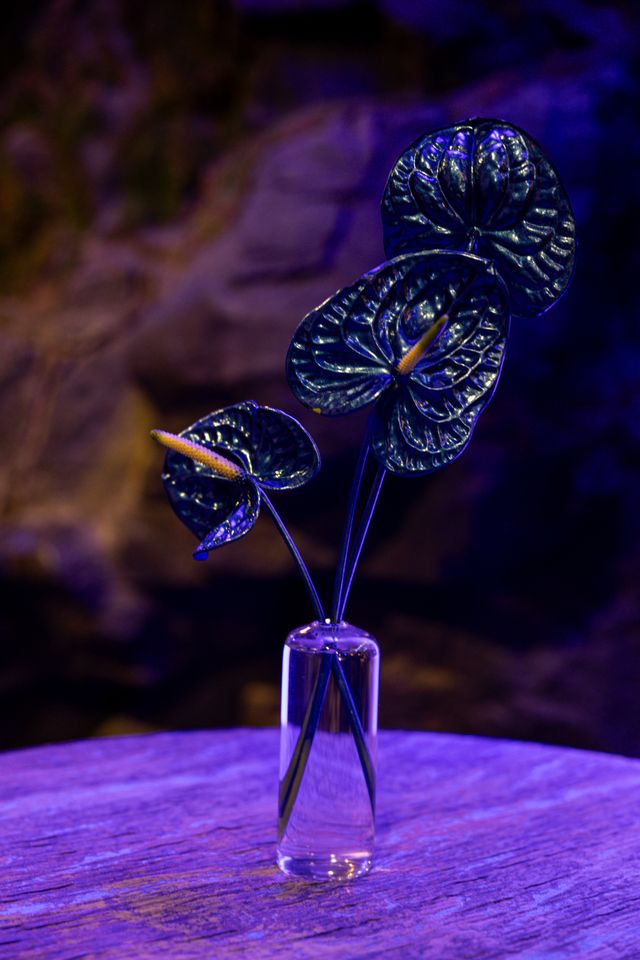 Featured photo from Charting a Blue Future: The Shedd Aquarium Gala