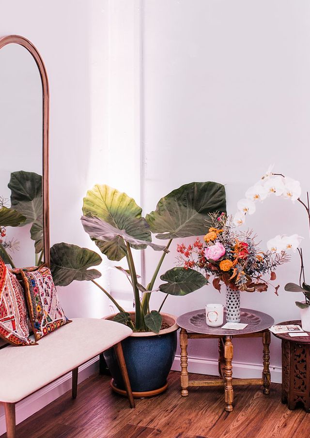 Featured photo from WildBride + Lily Spruce Events Present "LOVE> Fire: A Fundraiser for North Bay Fire Relief"