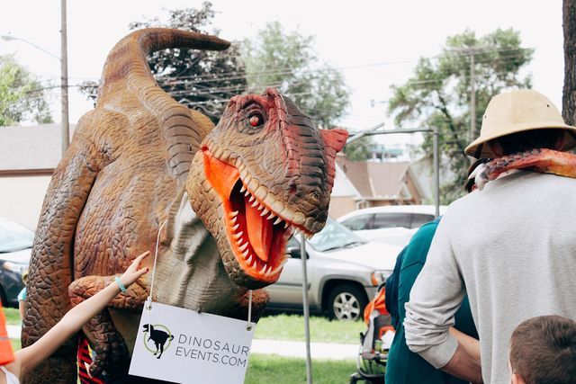 Featured photo from Provo City Summer Event