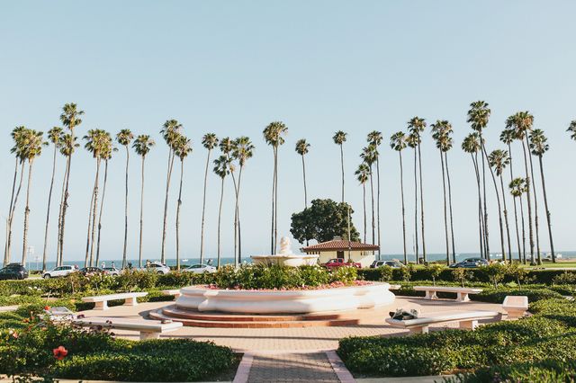Featured photo from Ocean View Rose Garden