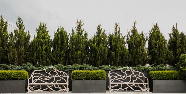 Featured photo from AVENUE