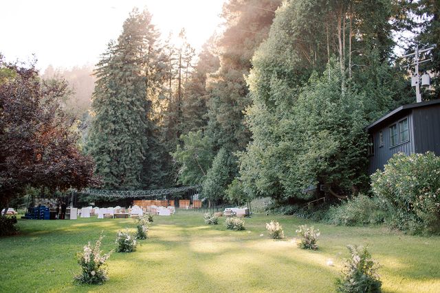 Featured photo from The Meadow